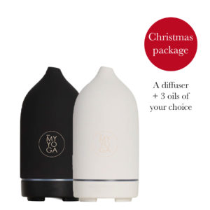 Diffuser Christmas Package