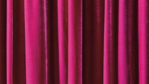 Alla hjärtans dag. Valentin's Day. Love. Peace.