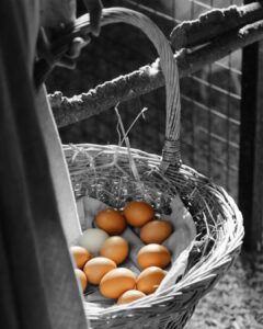 Happy Easter 50% discount